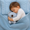 Peluche Koala | Respiración Guiada